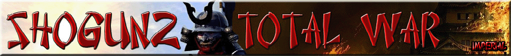 Imperial: Total War, Strategy, History